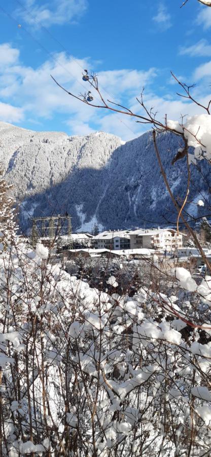 Haus Bergfriede Hotel Mayrhofen Exterior foto